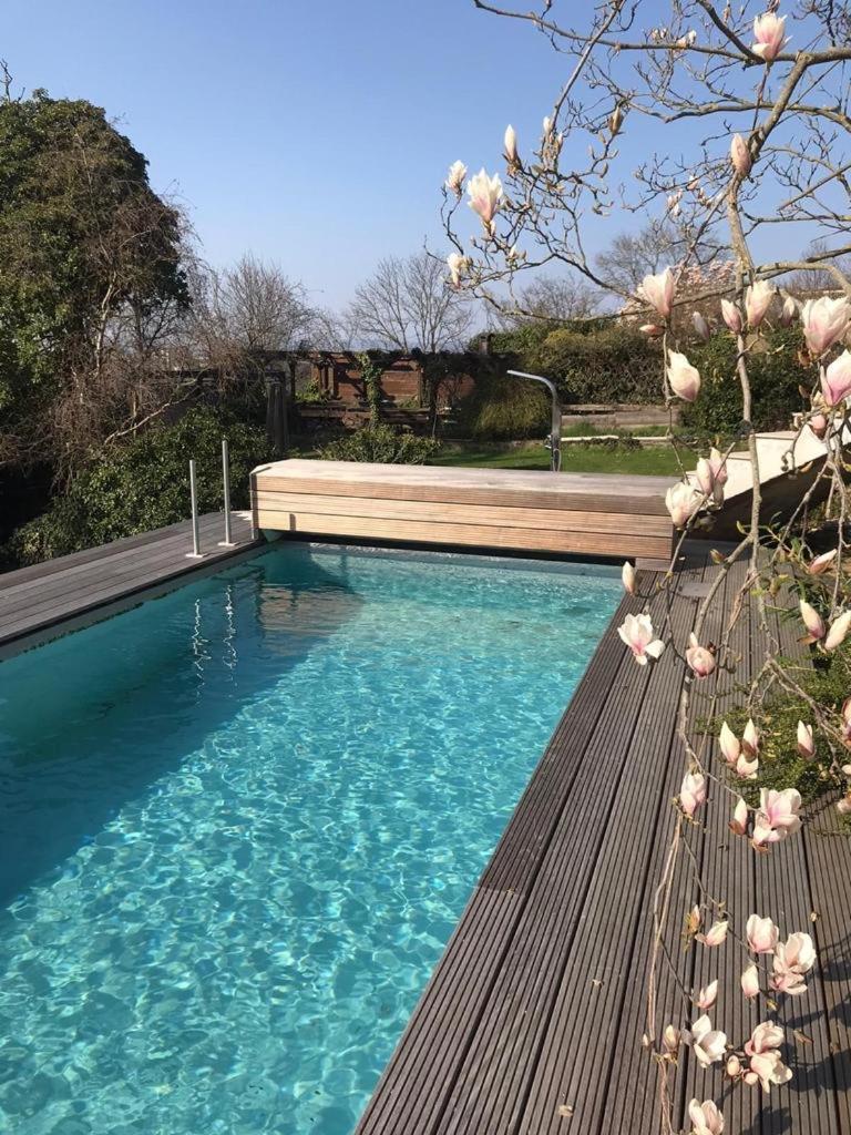 Aussichtszimmer Mit Modernem Glasbad Und Balkon Koblenz  Eksteriør billede