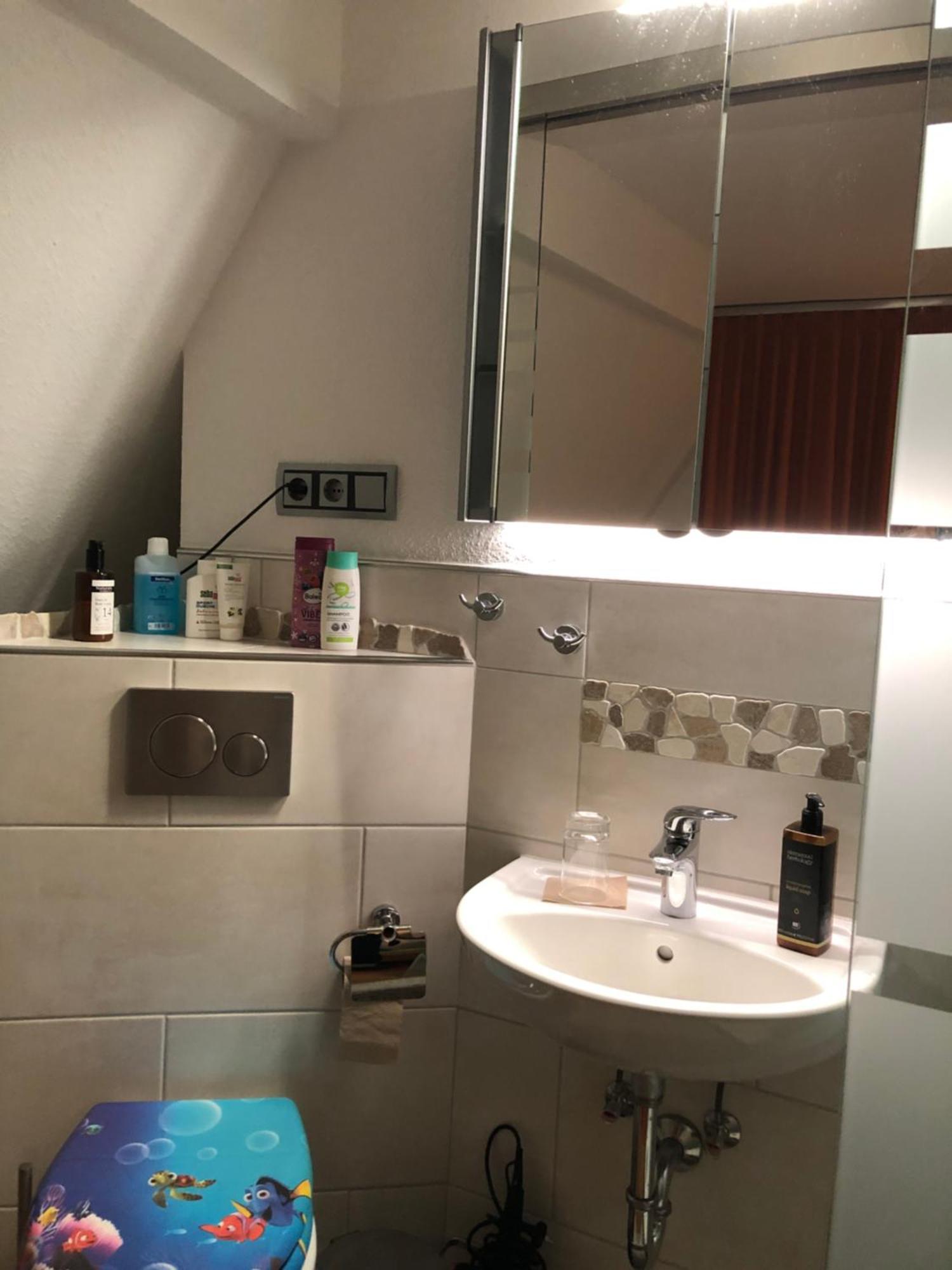 Aussichtszimmer Mit Modernem Glasbad Und Balkon Koblenz  Eksteriør billede